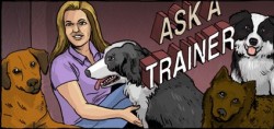 Dogster_askATrainer_header_v3_0