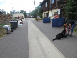 A Growly Dog class in session