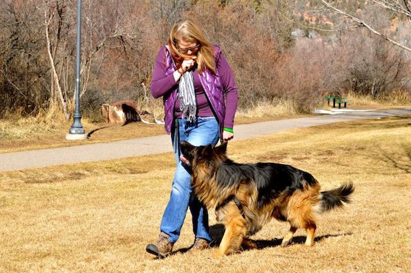 Dog Training Behavior Consults. Pro Dog Trainer working with a formerly people reactive dog using force free training. 