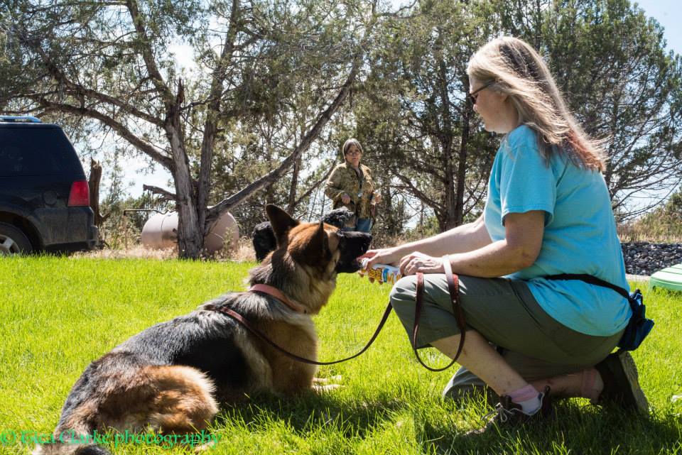 Canine Pro Annie Phenix works with every kind of training and behavior issue