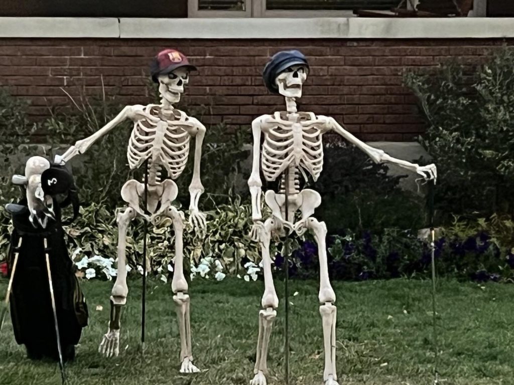 Halloween skeletons with scary faces and hats can scare any dog. Pet dog trainer Annie Phenix advocates that we protect our pets during human holiday celebrations.