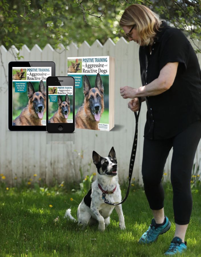 Annie Phenix

25+ years of experience as a dog trainer. Author of two bestselling books: The Midnight Dog Walkers: Positive Training and Practical Advice for Living With Reactive and Aggressive Dogs and Positive Training for Aggressive and Reactive Dogs.