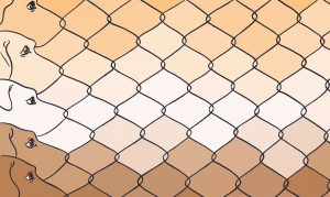 Graphic of dogs' faces echoed out into a chain link fence.