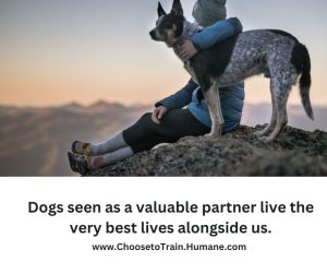Owners who view their dogs as a valuable partner have the happiest dogs