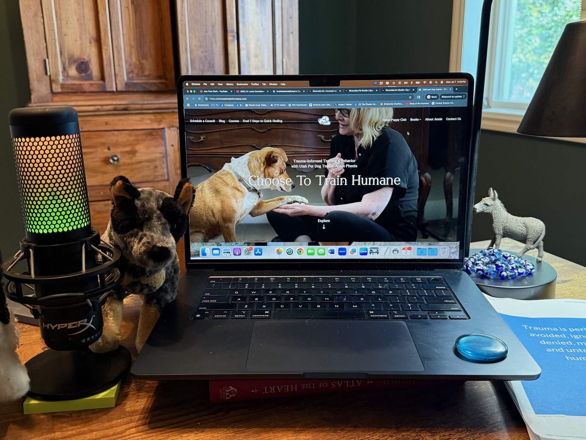 Computer screen showing dog trainer and microphone Choose to Train Humane 