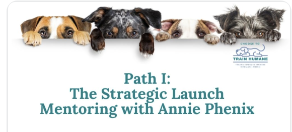 Path I: The Strategic Launch Mentoring with Annie Phenix