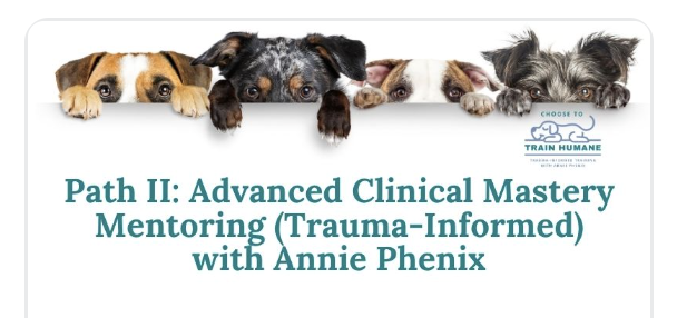 Path II: Advanced Clinical Mastery Mentoring (Trauma-Informed) with Annie Phenix